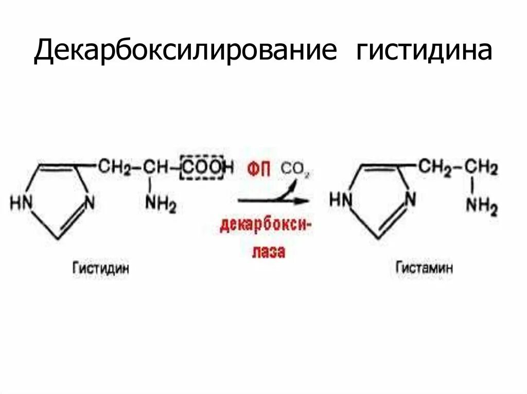 Гистин
