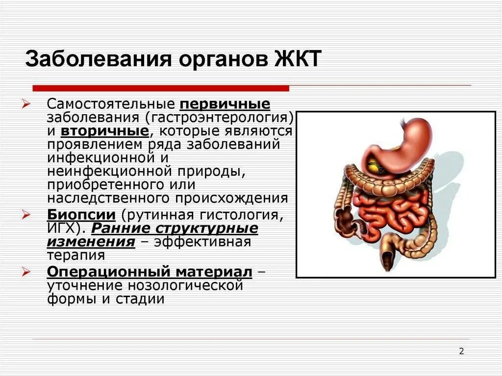 Особенности заболеваний жкт. Заболевания желудочно-кишечного тракта. Заболевания органов ЖКТ. Заболевания желудочнокигечного тракта. Заболевание желудок кишечного тракта.