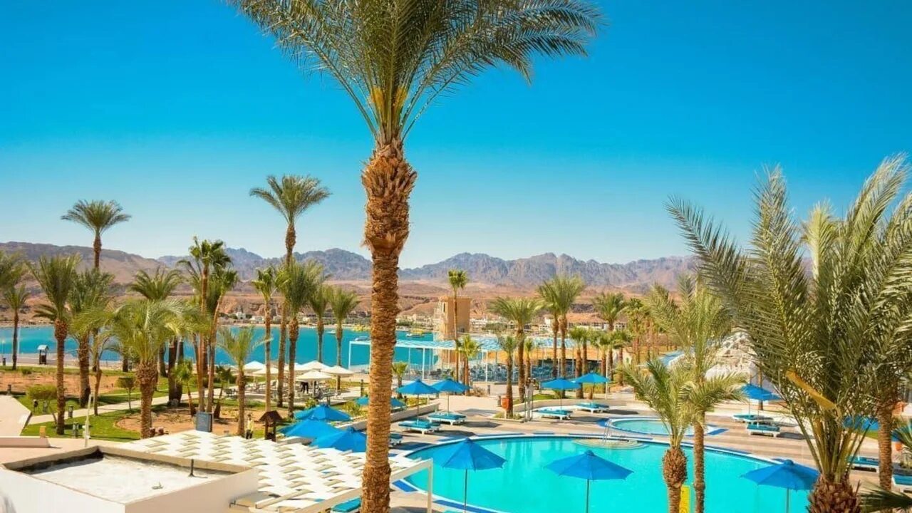 Arabia azur 4 египет хургада. египет гранд оазис резорт 4. египет 4 дня. отель египет queen sharm resort view beach. египет отель гранд оазис.