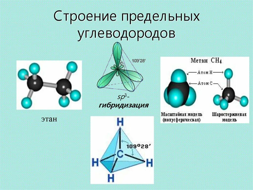 Определите пространственная формула какого углеводорода