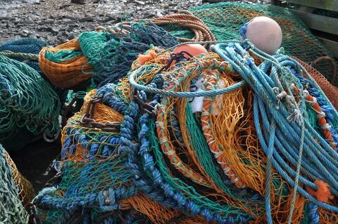 Рыбацкая сеть на обручах сканворд 6 букв