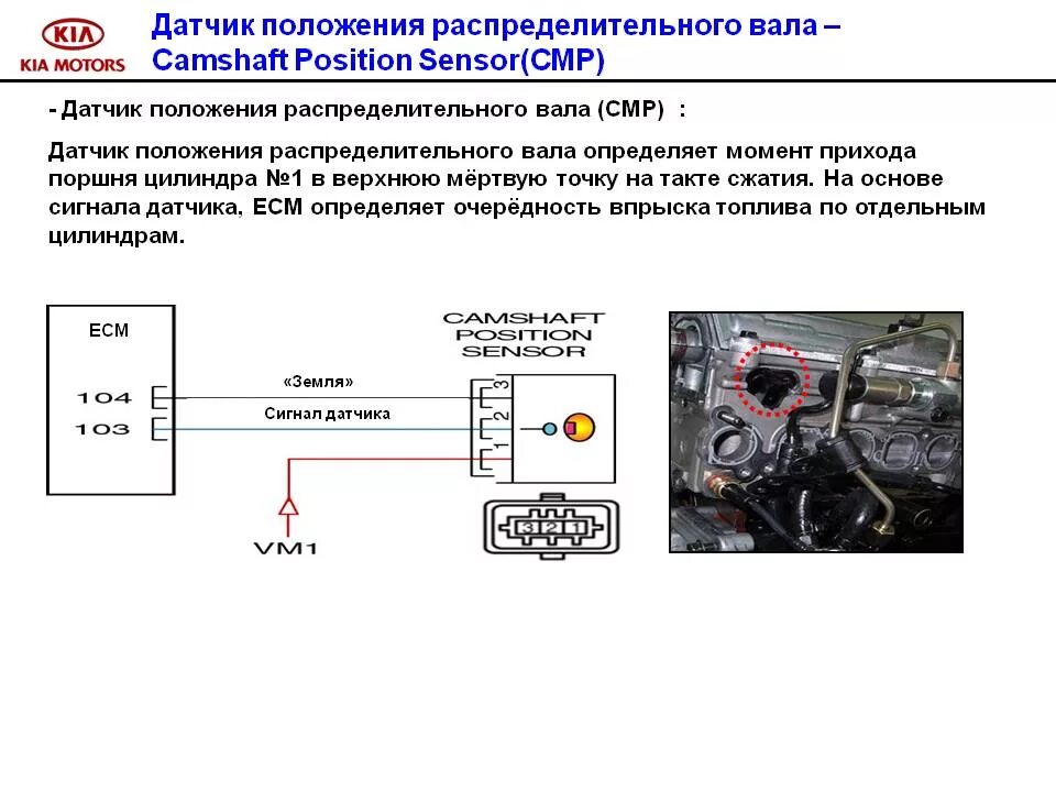 Колодка проводов датчика распредвала УМЗ 4216. Цепь датчика коленвала 8кл. Схема работы датчика положения распредвала. Датчик фаз устройство и принцип работы.