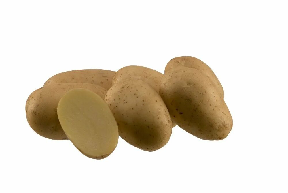Картофель ласунок купить. Сорт картофеля Аризона. Семенной картофель Аризона. Семена картофеля Аризона. Картофельные сорт Аризона.