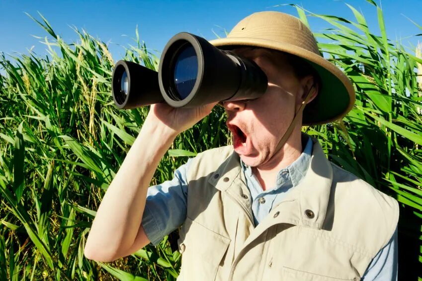 Bird watcher. Наблюдение сафари. birdwatcher. binoculars перевод.
