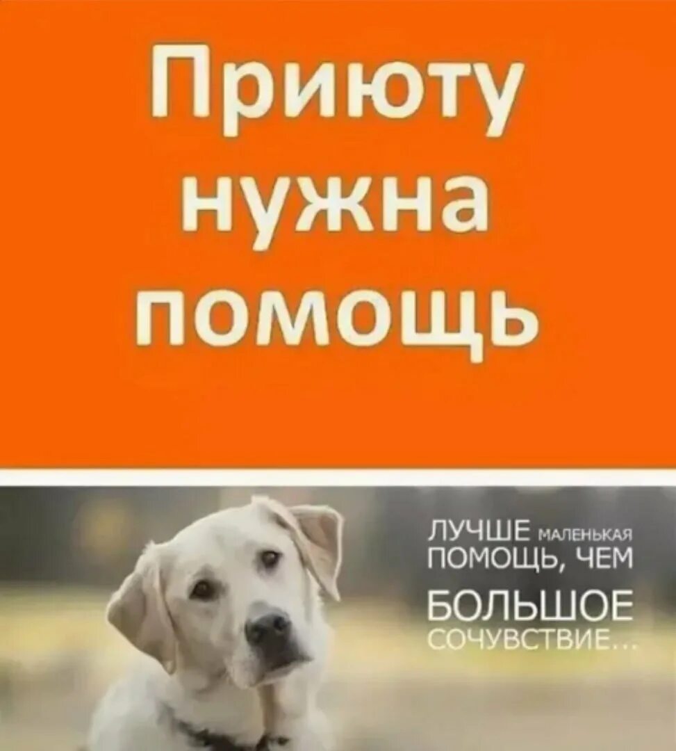 нужна помощь пострадавшим от пожара. призыв о помощи. прошу помощи. дети помогают. помогите картинка.