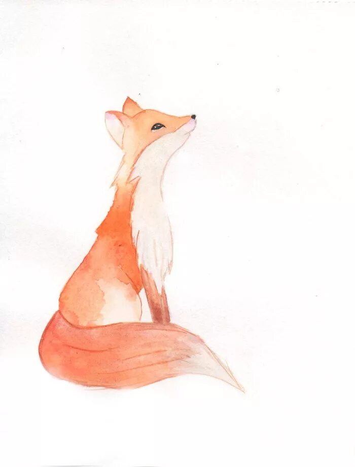 Лис сидит рисунок. Лиса сидит нарисованная. Лис сидит рисунок. Лис сидит рисунок. Лис сидит рисунок.