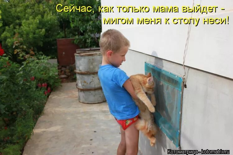 Сейчас несу. Барсика в церковь. Дети и кошки смешное. Кота пора нести в церковь. Ну что ты несешь.