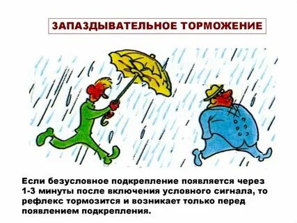Тормози тормоза