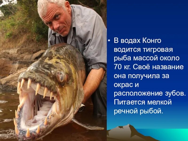 Река рио-тинто (красная река). Какая река самая страшная ответ. Самая страшная река. Анаконда в амазонке. Видео водяной воронки.