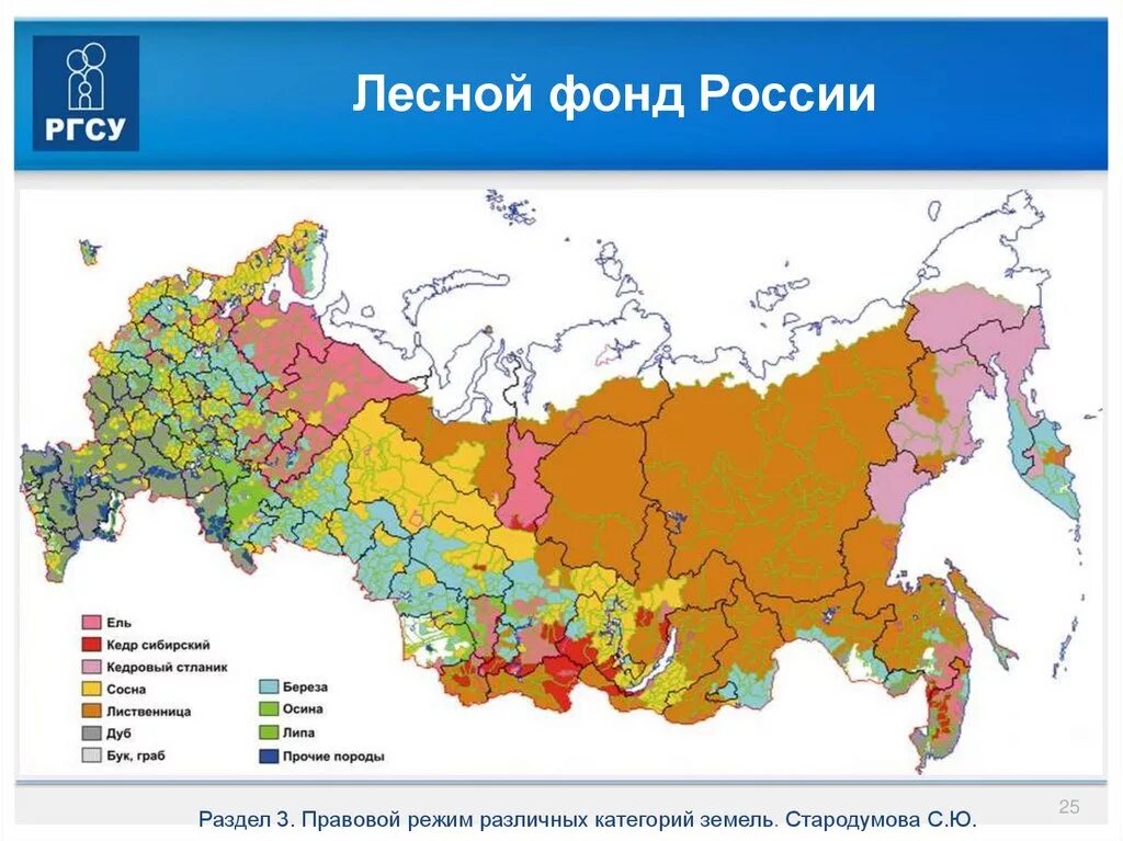 Фонд регионы россии