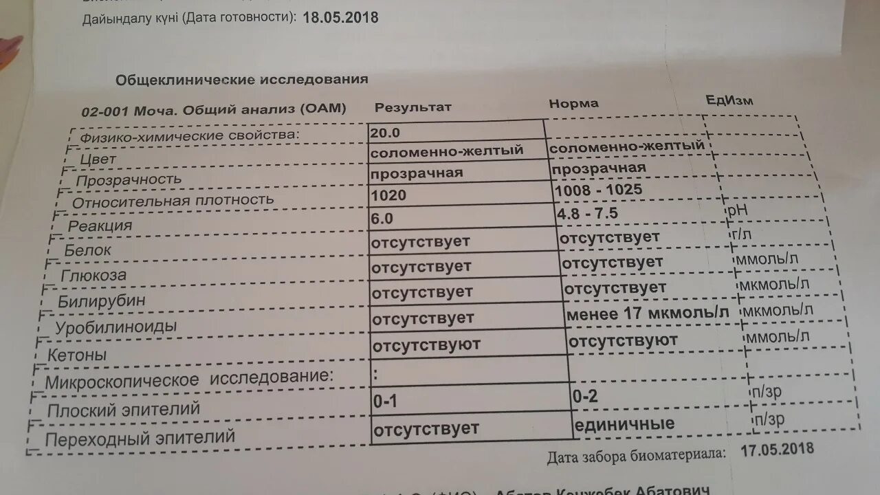 Можно делать узи брюшной при месячных. Уробилиноиды в моче норма. Уробилиноиды показатель 33. Можно ли делать УЗИ брюшной полости при месячных и почек. Уробилиноиды 50 у ребенка показал результат.