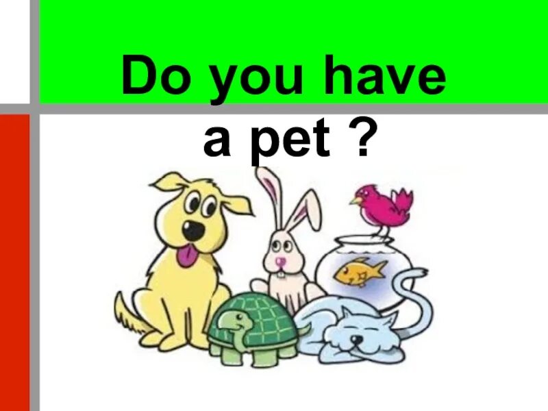My Pet по английскому. Проекты на тему my Pet. My Pet презентация. Презентация по английскому языку my Pet. Pet 2 английский