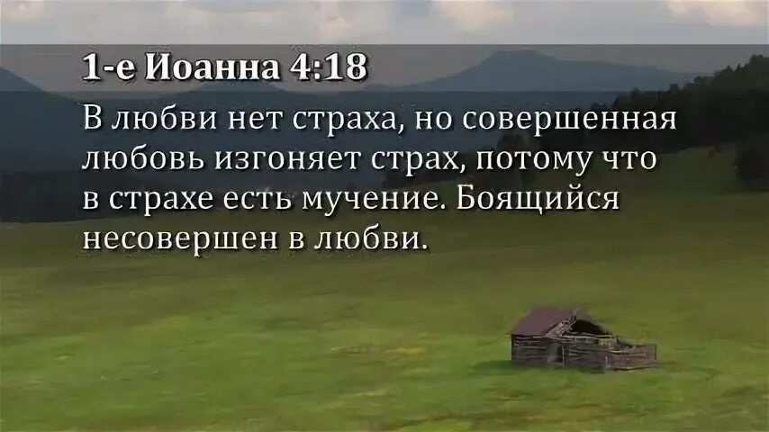 Любовь изгоняет всякий страх Библия. Итак оправдавшись верою мы имеем. В любви нет страха но совершенная любовь изгоняет страх Библия. Совершенная любовь изгоняет страх