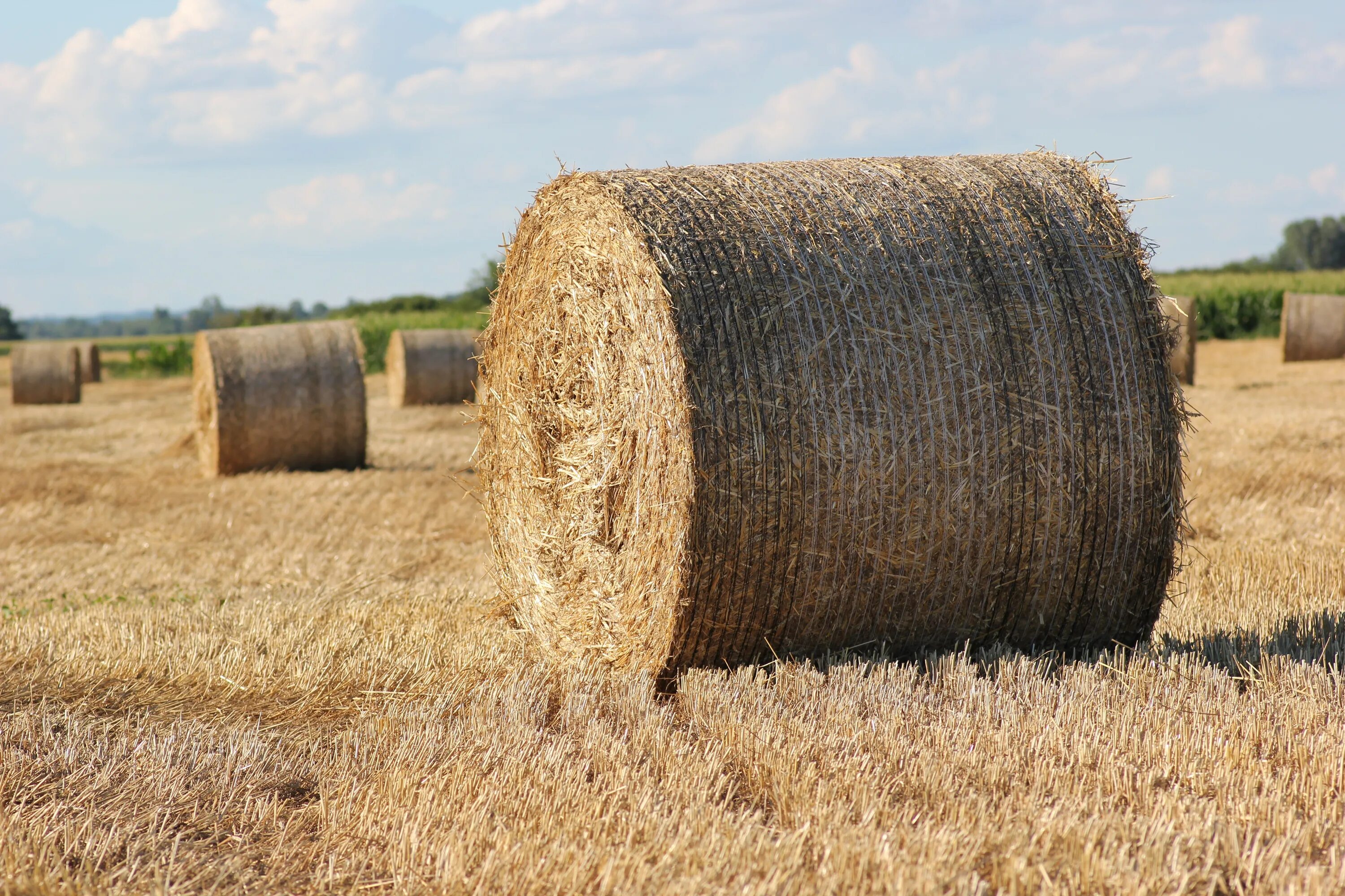 Straw Bale. Солома в тюках. Солома в рулонах. Солома в брикетах.