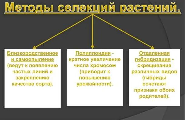 2 методы селекции. Методы селекции растений и животных таблица 10 класс. таблица по биологии основные методы селекции растений. таблица основные методы селекции биология 9 класс. основные методы селекции таблица 10 класс биология.