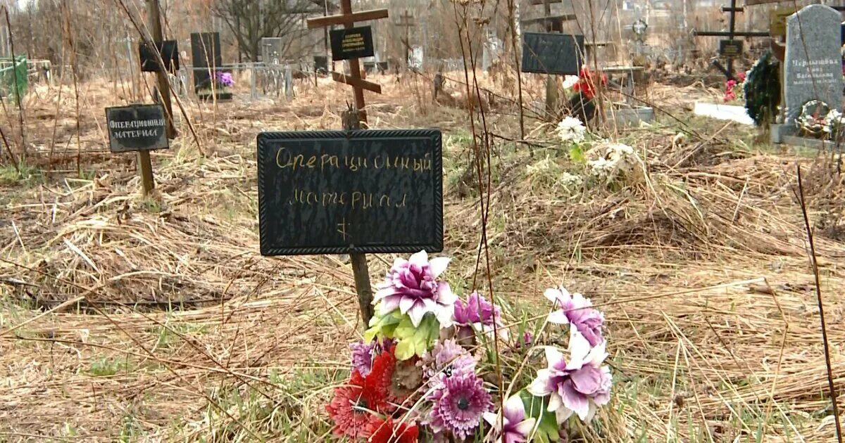 Кладбище Ярцево Смоленской области. Селифоново кладбище Смоленск. Пронькино кладбище Ярцево.