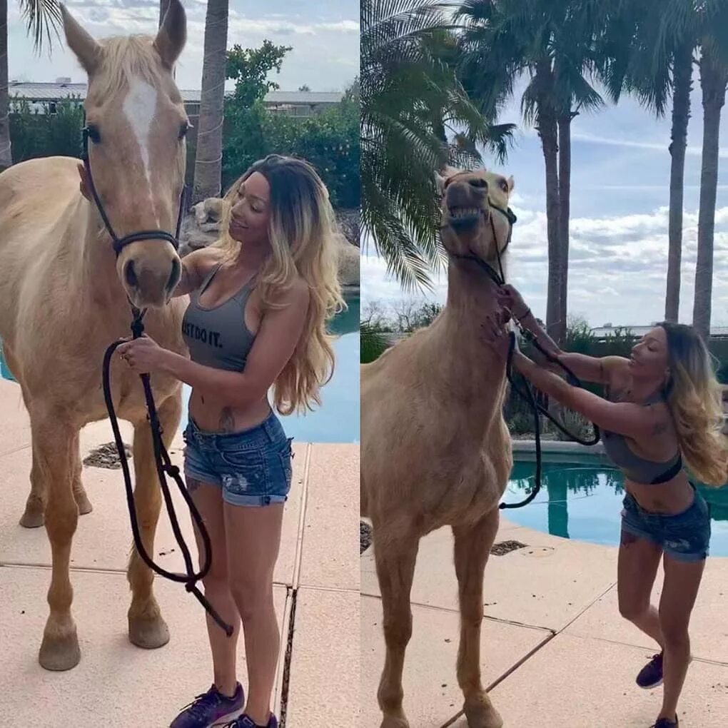 селеста барбер "вызов принят!". инстаграм смешно. мем девушка в инстаграме и в жизни. смешные фото с туротдыха. мужики пародируют девушек.