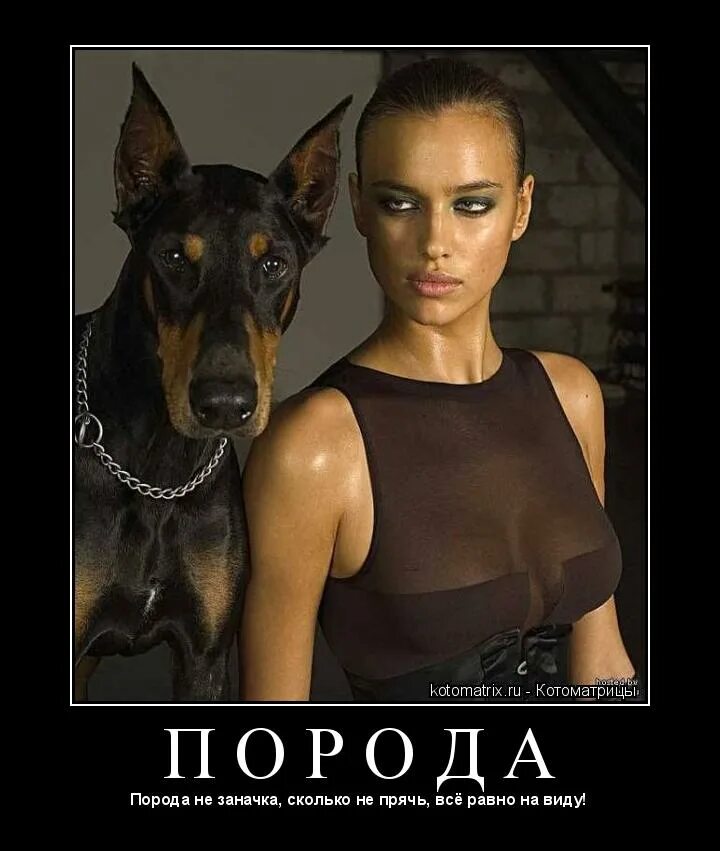 двойные стандарты картинки смешные. девушка и собака прикол.