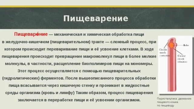 базирование втулки при сверлении. факторы влияющие на точность обработки деталей. точность при обработке. погрешности изготовления деталей. погрешность механической обработки.