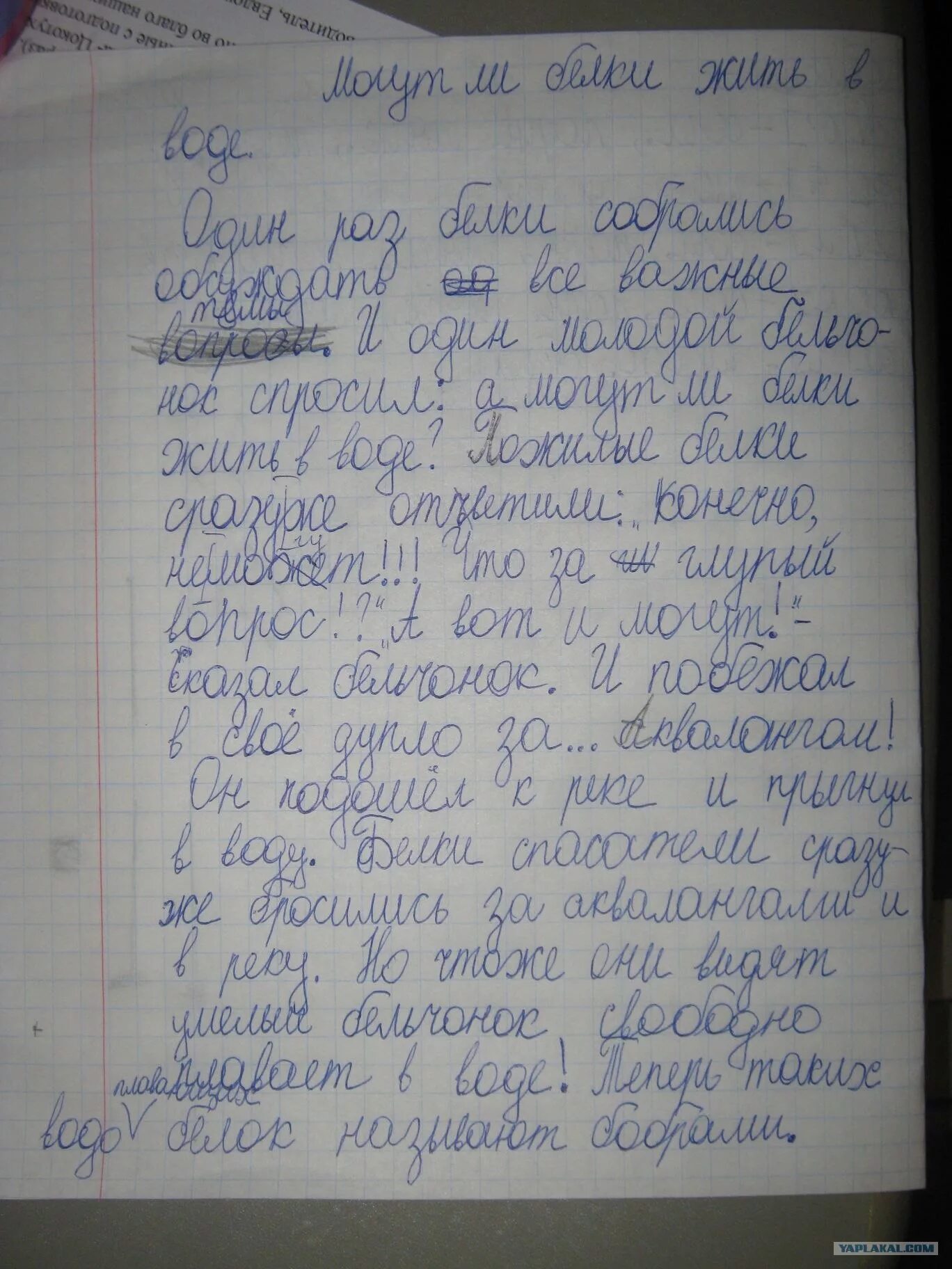 Сочинение на тему разговор. Сочинение. Сочинение белка. Сочинение про ежика. Сочинение про белку 4 класс.