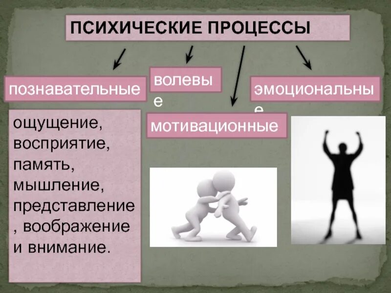 Ощущения память мышление воображение восприятие. Биопсихические процессы. Процессы психики. Познавательные психические процессы.