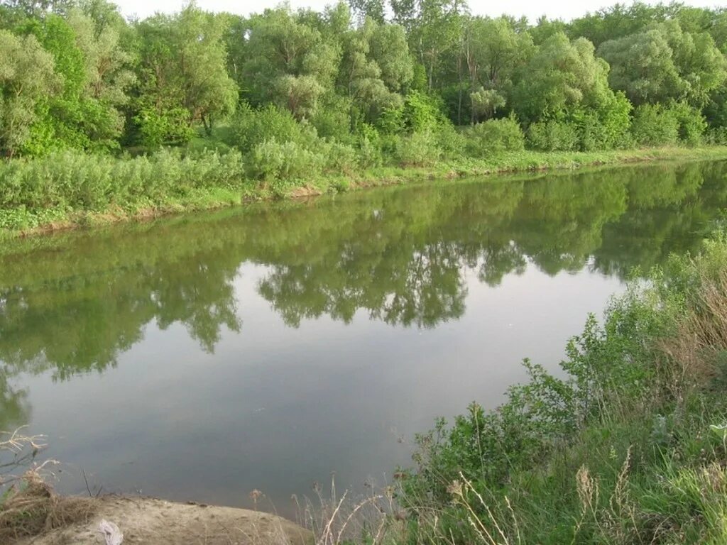 Пенза река ворона. Река ворона Тамбов. Река ворона Тамбовской области. Речка ворона в Тамбовской области.