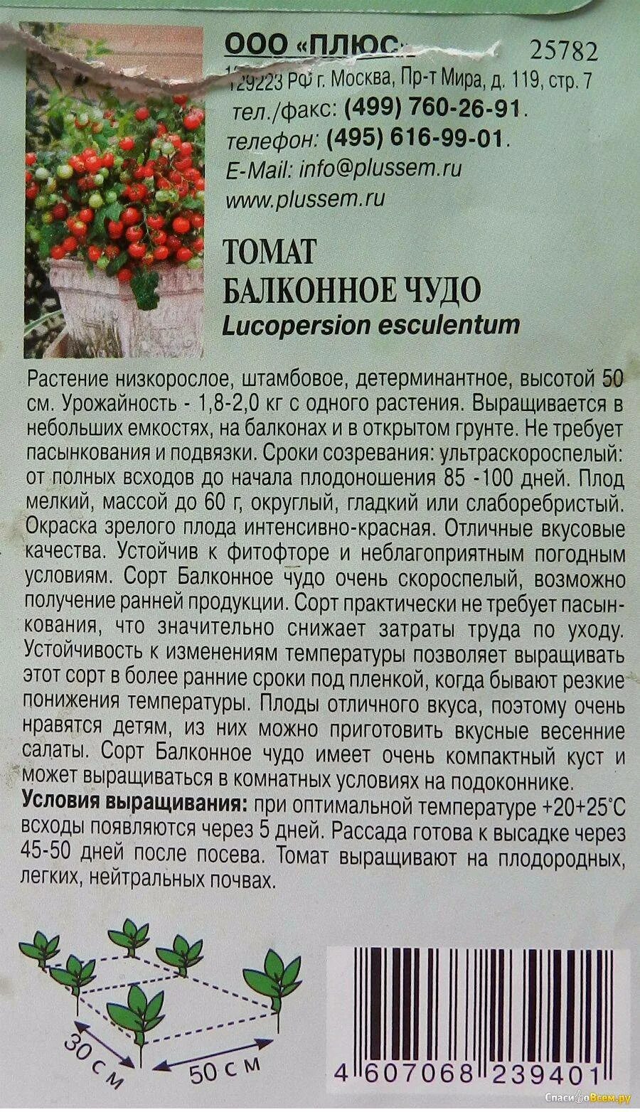Балконное чудо описание сорта. Балконное чудо описание сорта