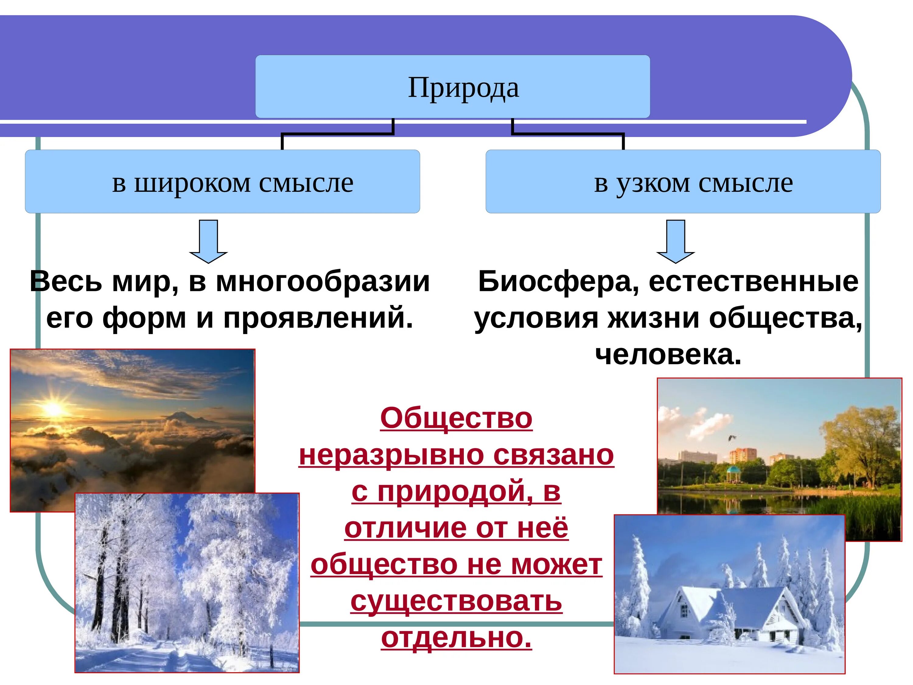 Общество и природа 6 класс презентация