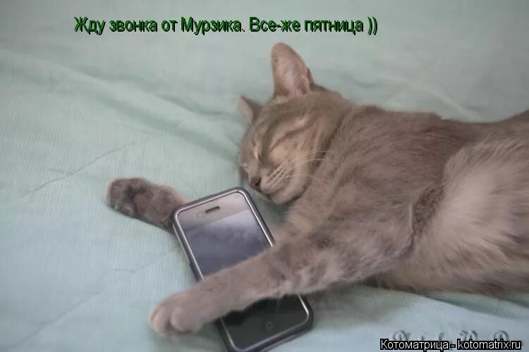 я жду твоего звонка.