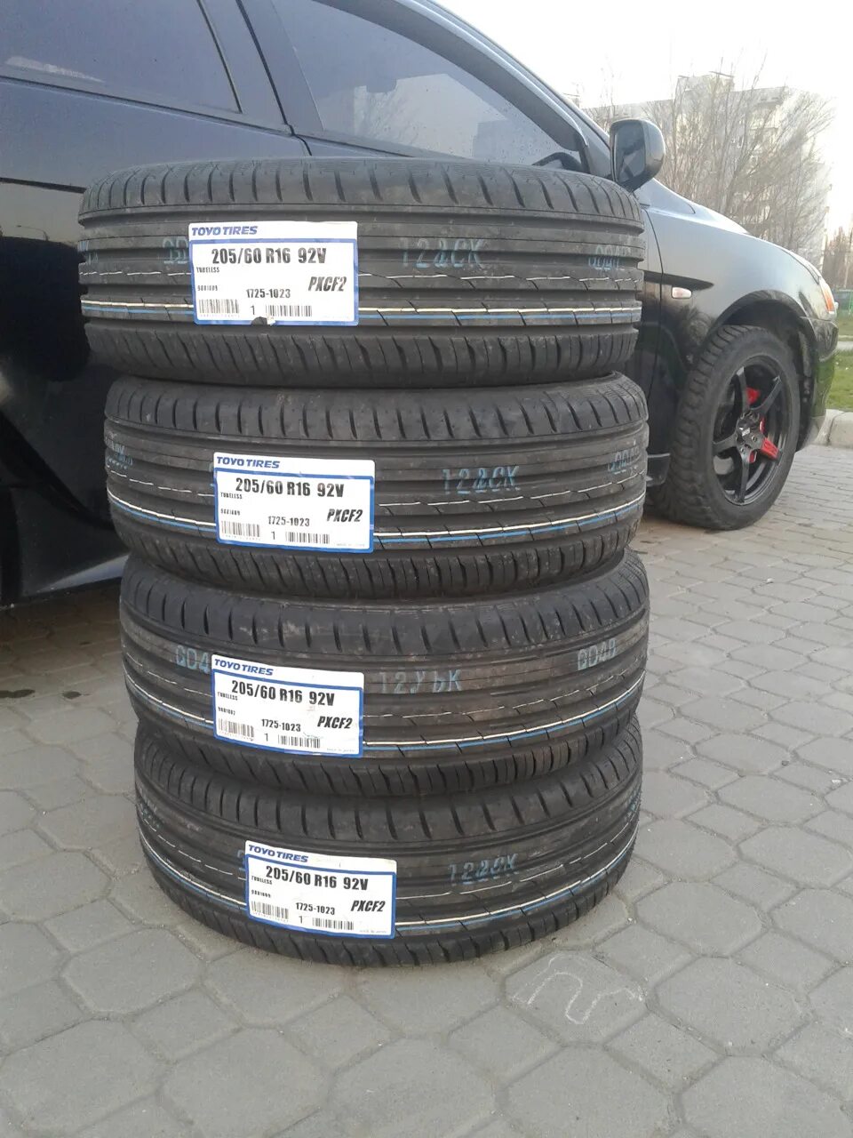 Авито купить резину 205 55 r16. Toyo cf2 205/60 r16. Toyo PROXES cf2 205/60 r16. Toyo PROXES cf2, 205/60r15. 205/60/16 Toyo PROXES cf2.