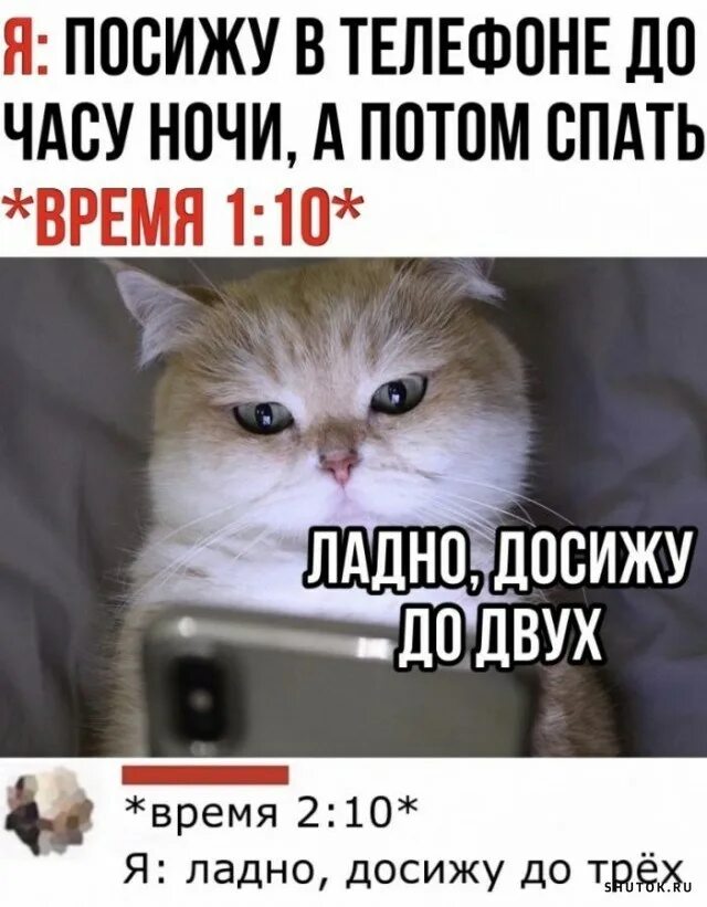 14 часа ночи