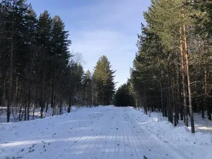 Бобровские дачи