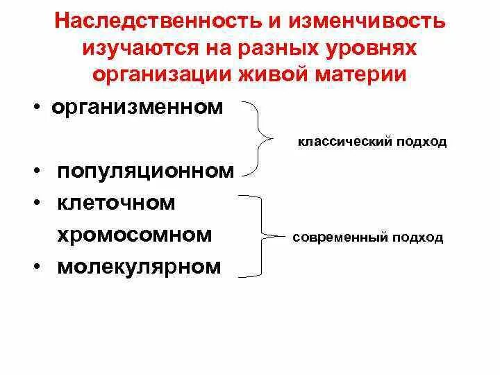 Мутация уровень организации