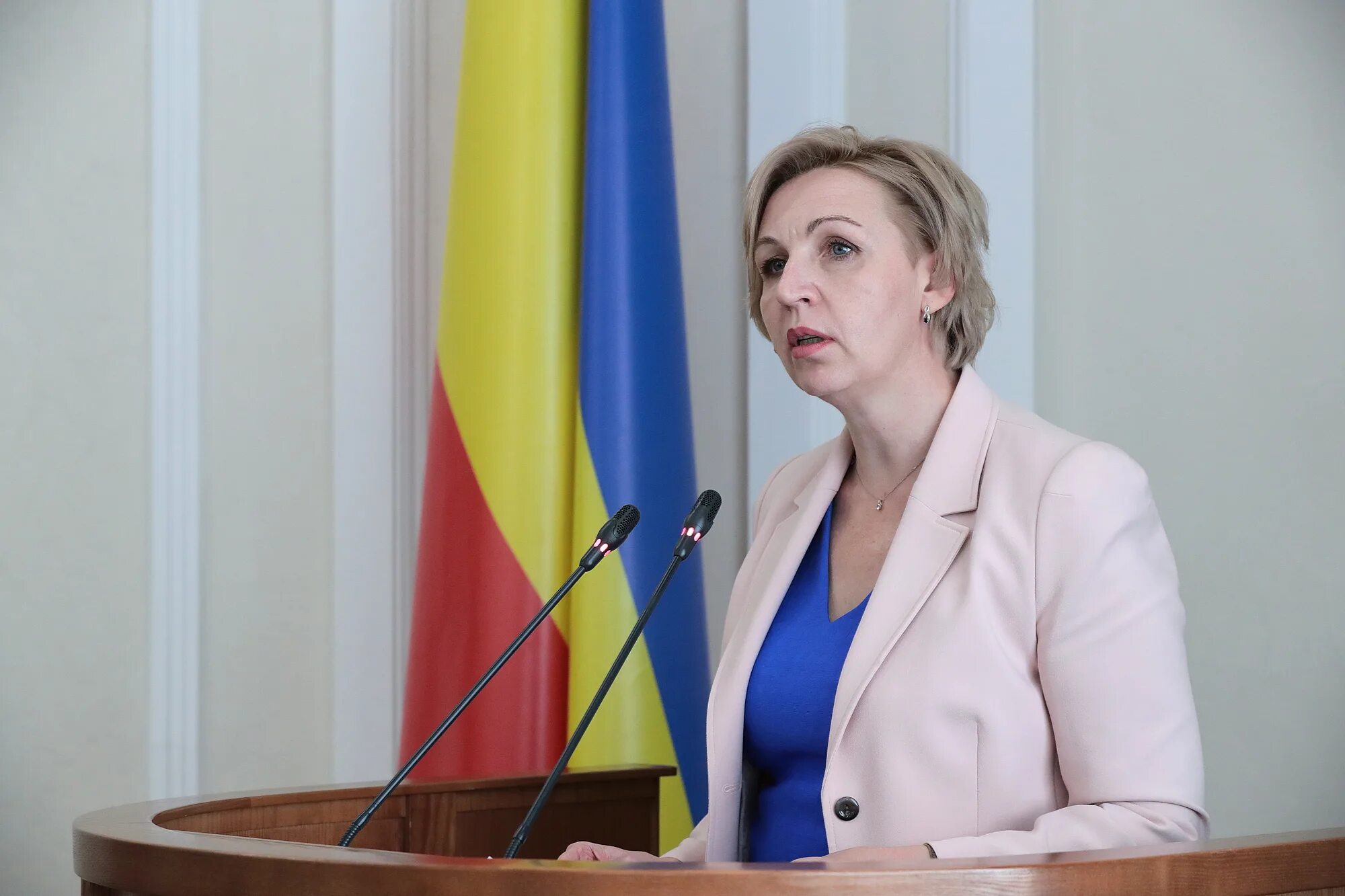 шевченко зам министра образования ростовской. фатеев министр образования. балина министр. бомштейн ирина ивановна министерство образования ростовской области. министр образования ростовской.