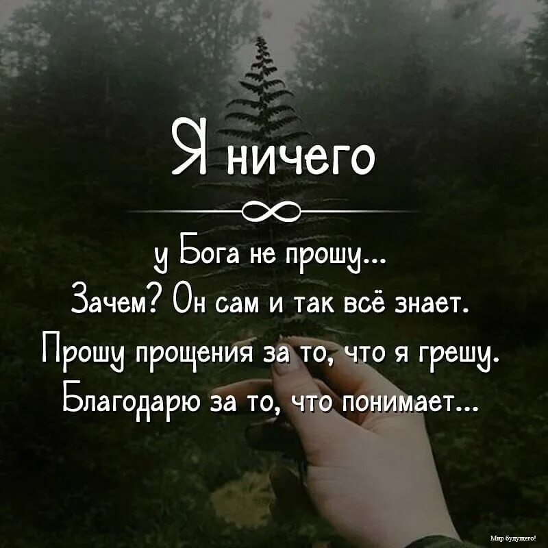 Почему просят руку. Я ничего у Бога не прошу. Я ничего у Бога не прошу зачем. Я ничего у Бога не прошу зачем он сам и так все знает картинка. Я ничего у Бога не прошу картинки.