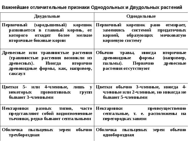 Примеры голосеменных и покрытосеменных. Покрытосеменные Однодольные и двудольные таблица. Признаки семейств однодольных и двудольных растений таблица. Признаки классов однодольных и двудольных растений таблица. Сравнение класса двудольных и однодольных растений таблица.