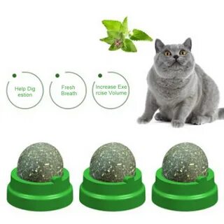 Приманка для кошек