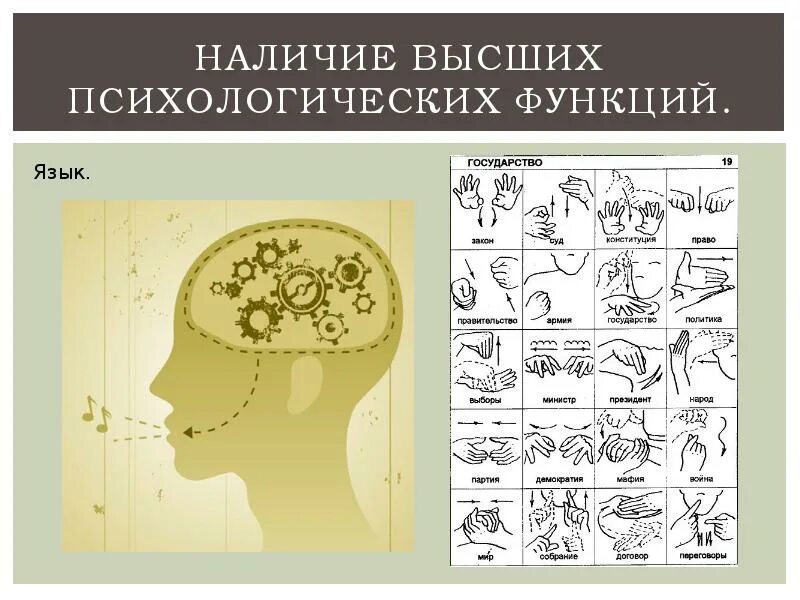 Высшие психические функции диагностика. Высшие психические функции. Высшие психические функции картинки. Восстановление психических функций рисунок. Интеллект животных презентация.