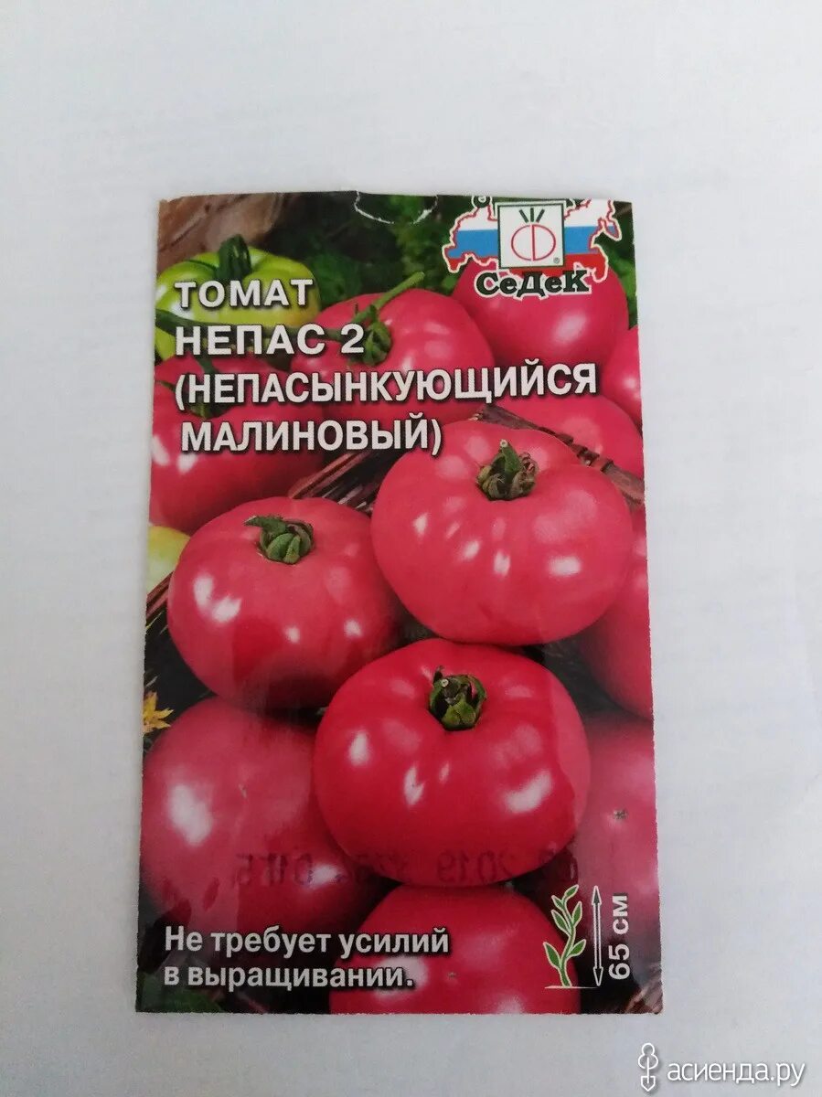 Томат Непас 3. Томат Непас 4. Томат Непас 10. Томат Непас урожай.