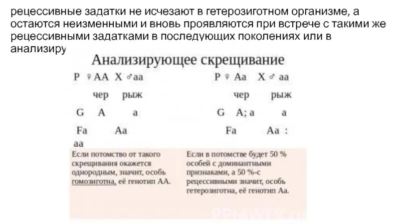 При скрещивании гетерозиготных особей в их потомстве. Гетерозиготный генотип. Гетерозиготные гены. Гетерозиготный организм это. Гетерозиготен по двум признакам.