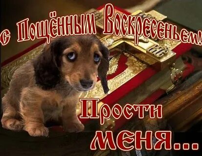 Прощеное воскресенье прощение у брата