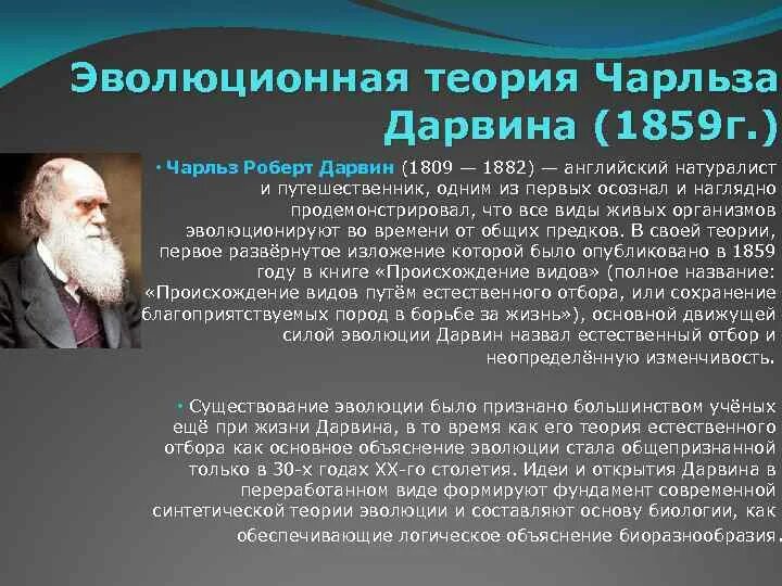Эволюционное учение Дарвина 1859. Эволюционная теория Чарльза Дарвина.