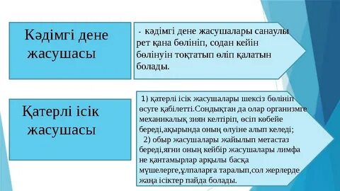 Жалаңаш шаштараз бейне