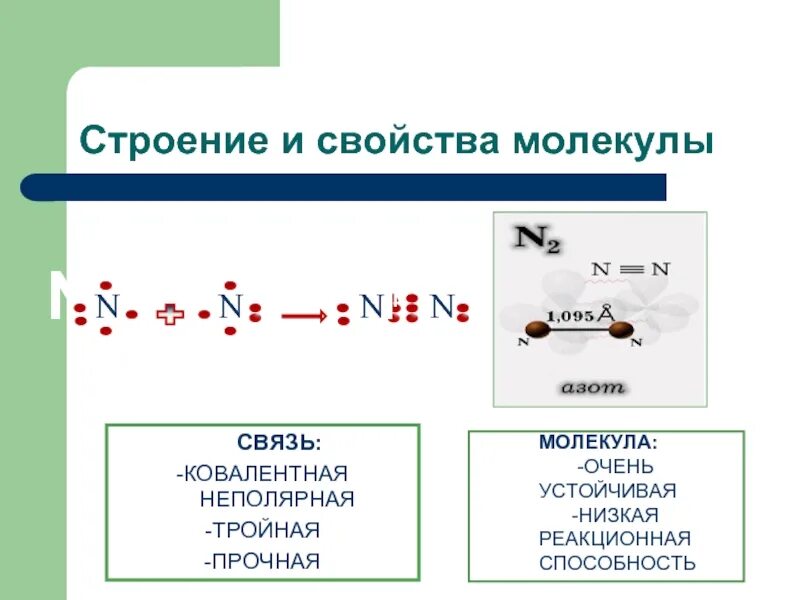 Основные свойства молекул. Строение молекул характеристика. Охарактеризовать молекулу. Молекулярные свойства.