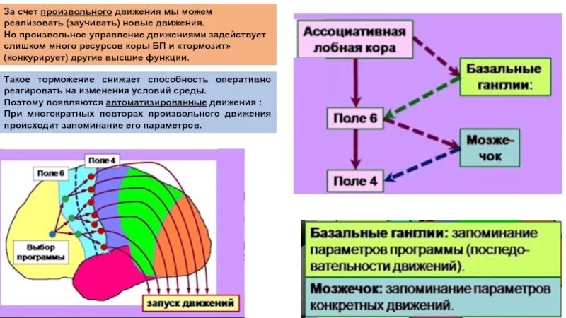 Функции произвольных движений