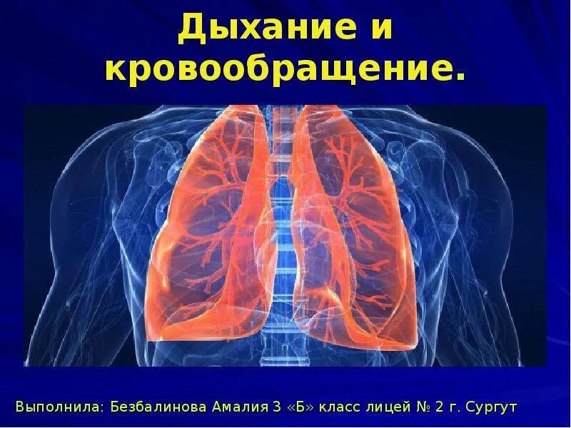 Дыхание и кровообращение вопросы. Дыхание и кровообращение. Окружающий мир дыхание и кровообращение. Дыхание и кровообращение 3. Дыхание и кровообращение 3 класс презентация.