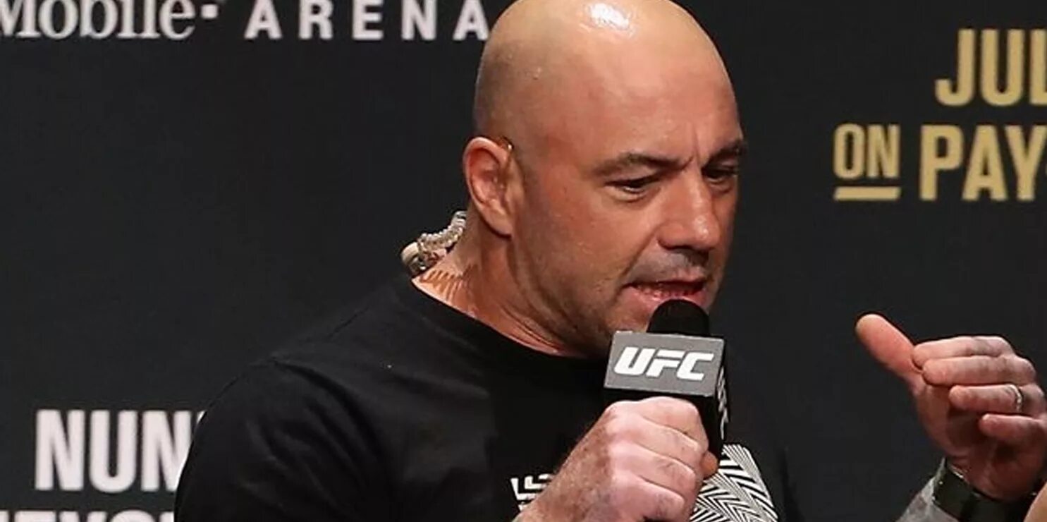 Карточка джо рогана. Joe rogan. джо роган ufc. джо роган фактор страха. джо роган фото.