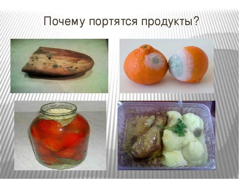 Почему портятся продукты