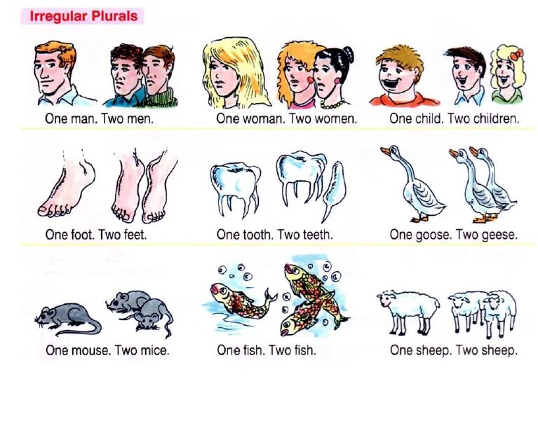 Слова на английском мужчина. Множественное число существительных в английском языке исключения. Мн ч в английском языке исключения. Множественное число в английском картинки. Существительные исключения в английском языке множественное число.