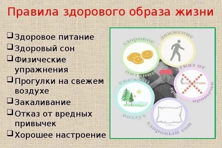 Значение в нашей жизни окружающий мир. Правила ЗОЖ. Правила здорового образа. Правило здорового образа жизни. Основные правила здорового образа жизни.